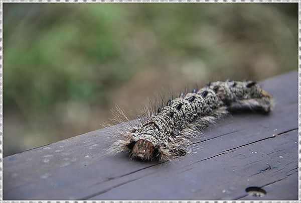 20241006-ifc9f