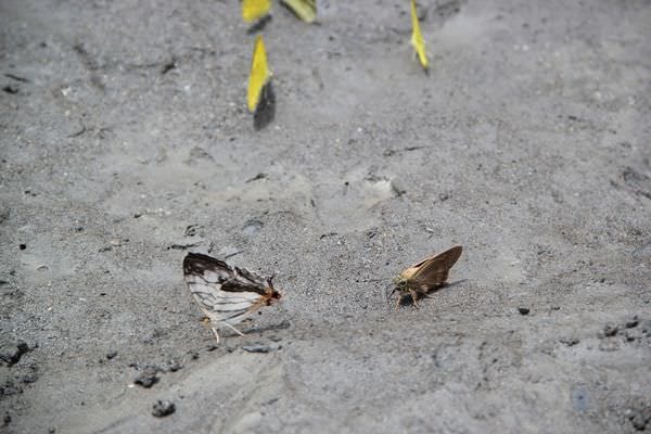 20241006-uyxu7