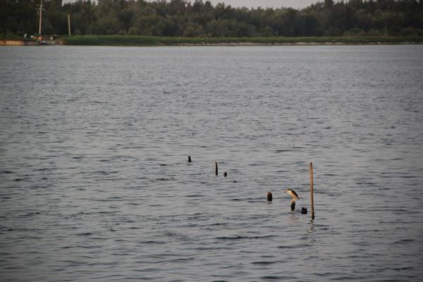 20241006-vacif