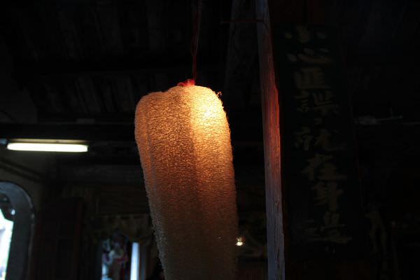 20241006-7hfdi