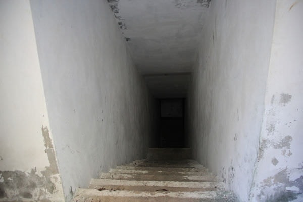 20241006-cujxp