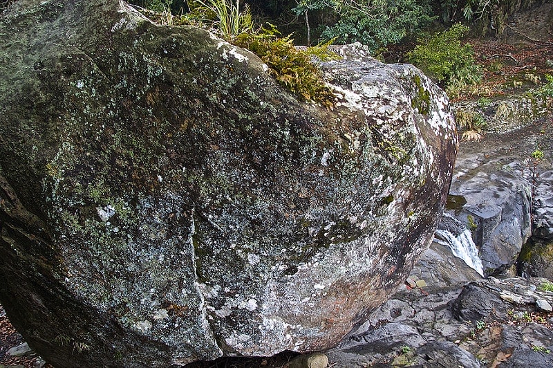 20241006-oux62