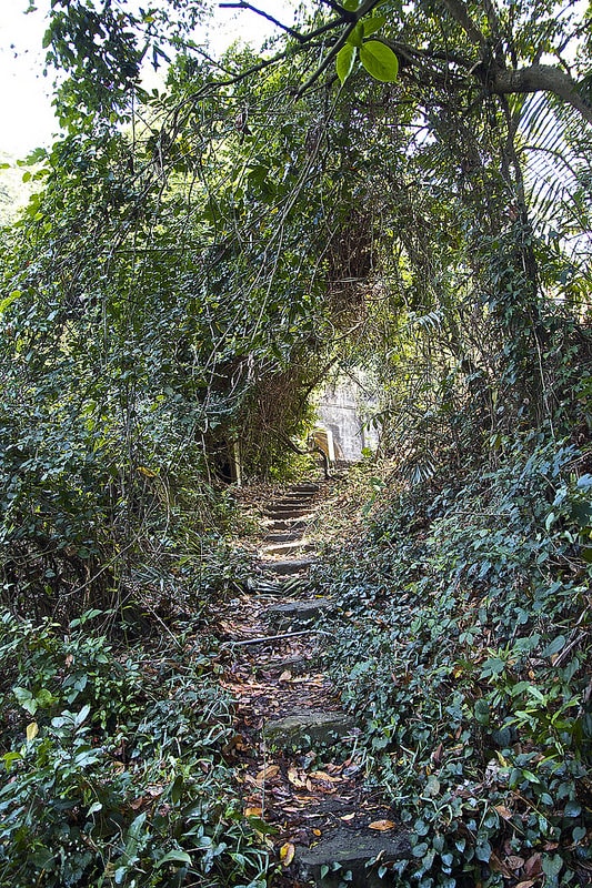 20241006-sw880