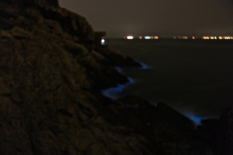 20241006-g0ujv