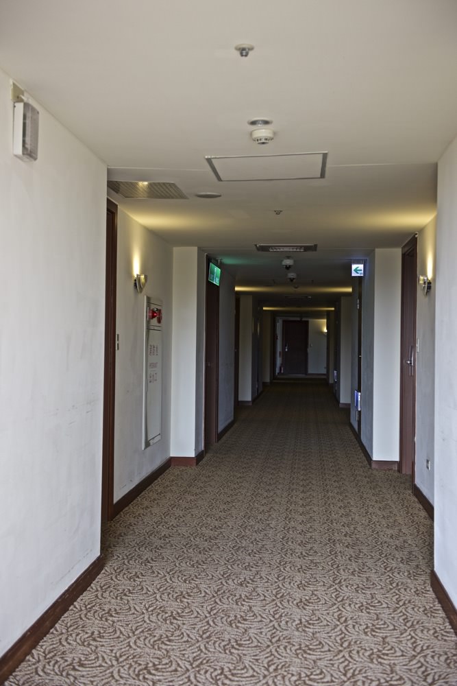20241006-paevs