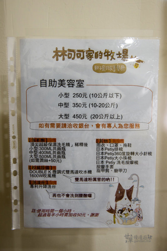 20241006-zpdjj