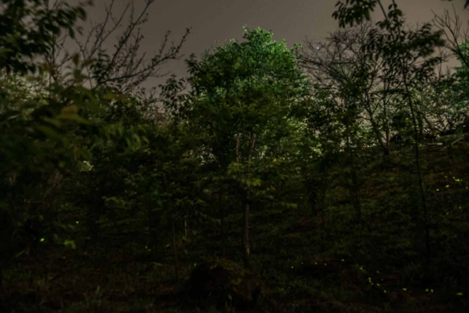 20241006-6bpp5