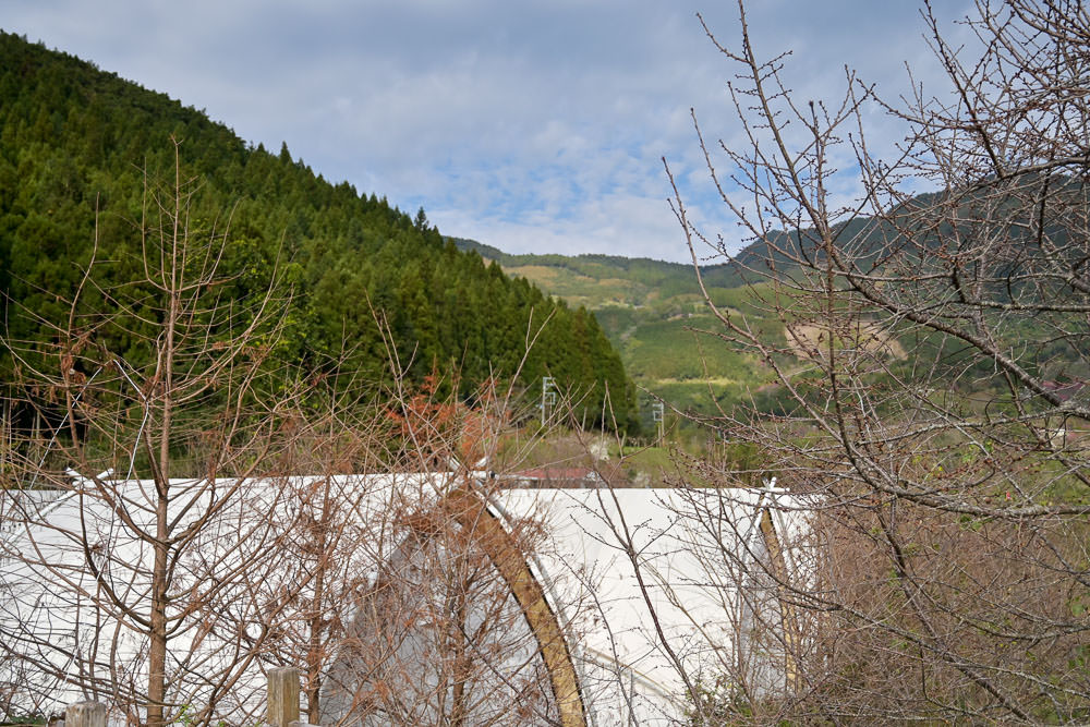 20241006-whr83